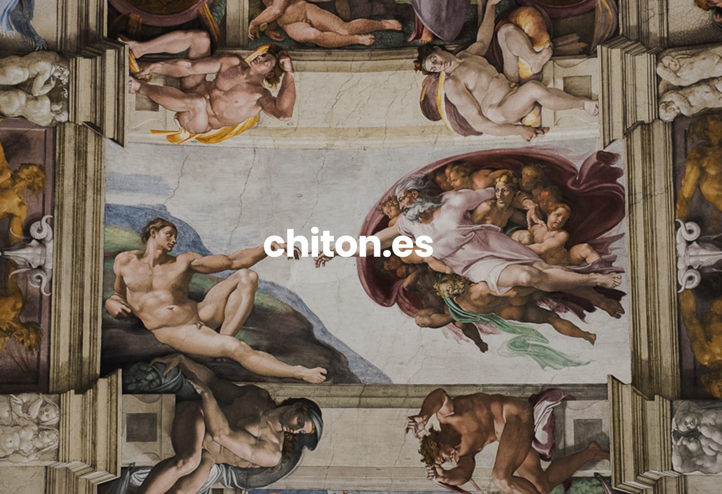 Chiton